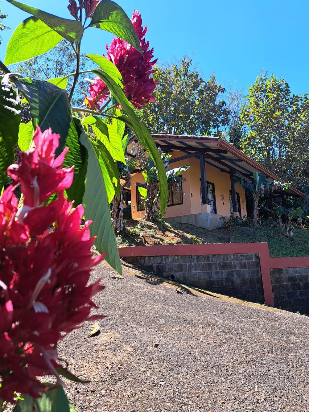 Serenity By Nature Carrillos Extérieur photo